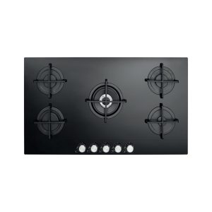 C95FGCS