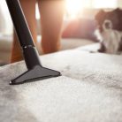 Philips-Vacuum-Cleaner-XB1042.3.jpg